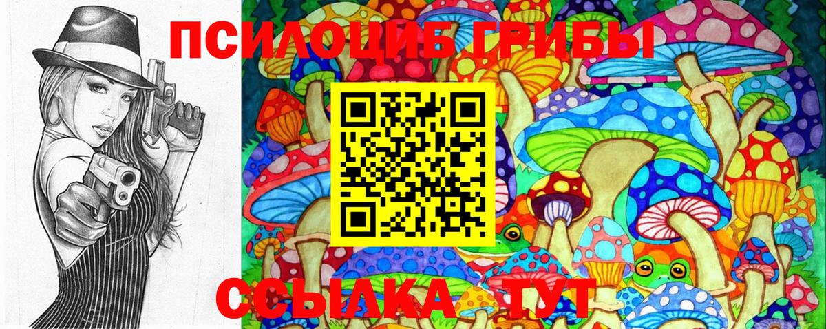 Псилоцибиновые грибы MAGIC MUSHROOMS  Вход с VPN  Большой Камень 