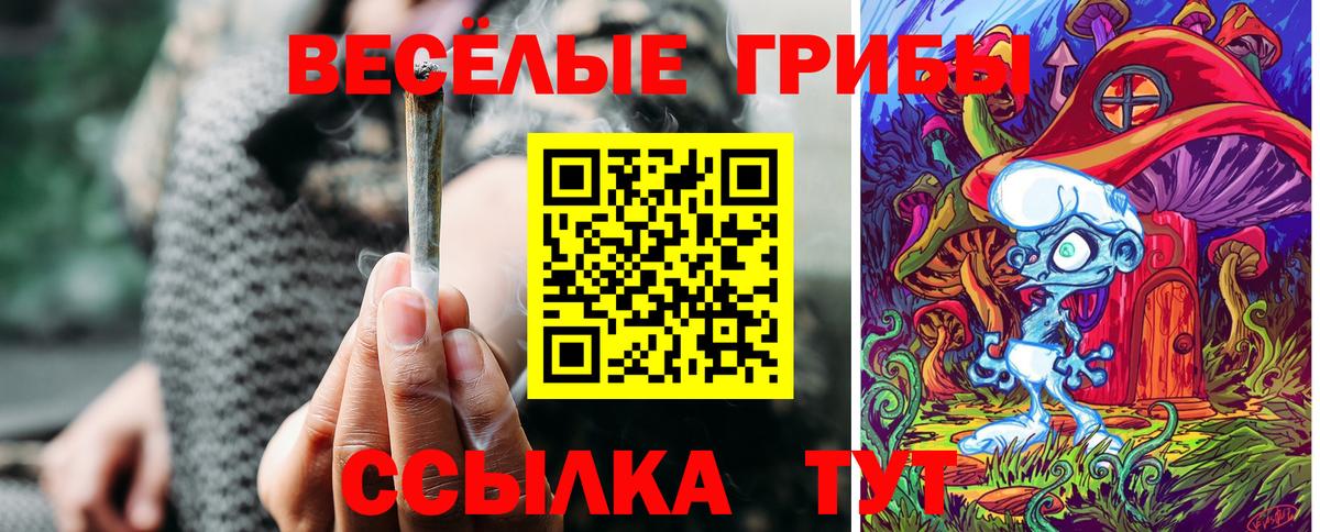 Галлюциногенные грибы Psilocybe Большой Камень